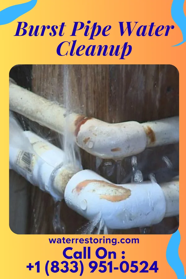 Burst Pipe Water Cleanup in Parmele, NC