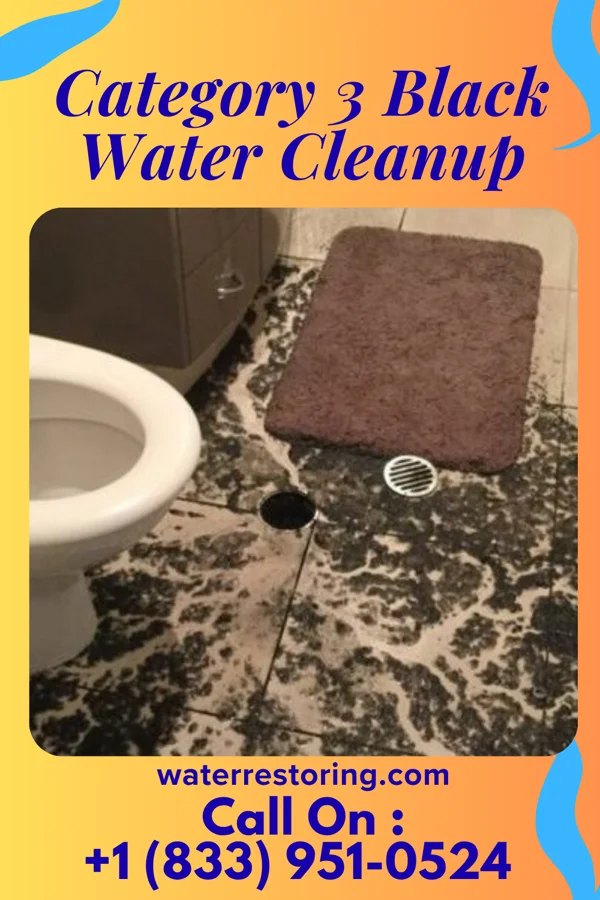Category 3 Black Water Cleanup in Parmele, NC