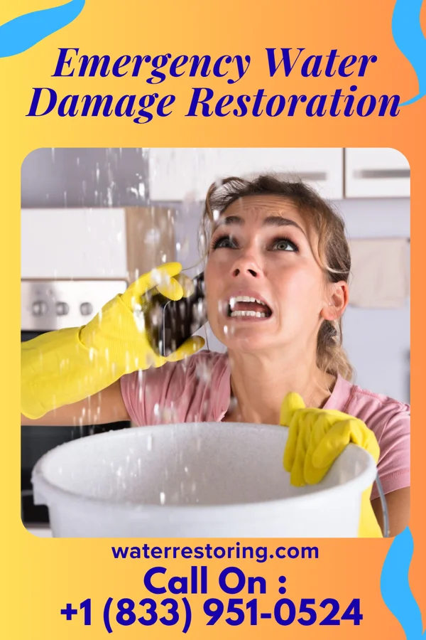 Emergency Water Damage Restoration in Parmele, NC