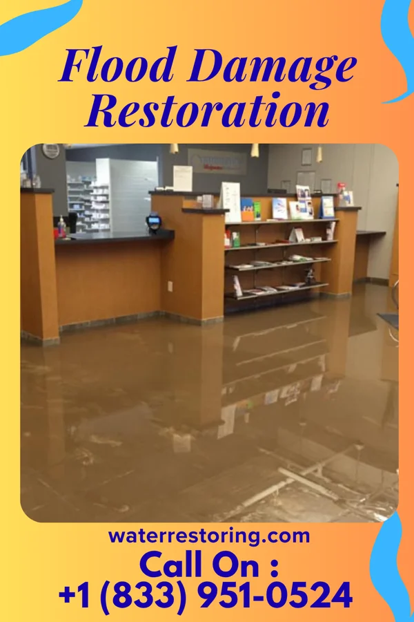 Flood Damage Restoration in Parmele, NC