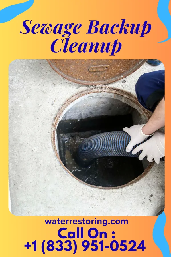 Sewage Backup Cleanup in Parmele, NC