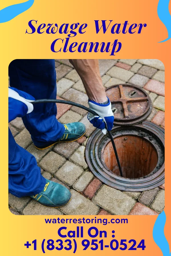 Sewage Water Cleanup in Parmele, NC